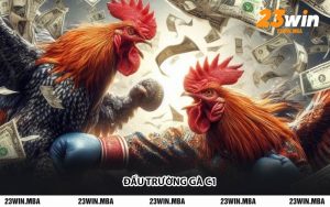 Đấu Trường Gà C1