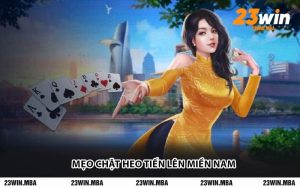 Mẹo Chặt Heo Tiến Lên Miền Nam